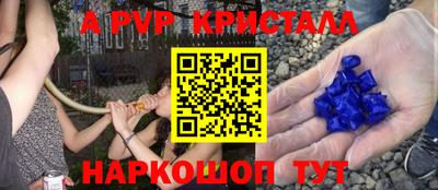 амф Можга