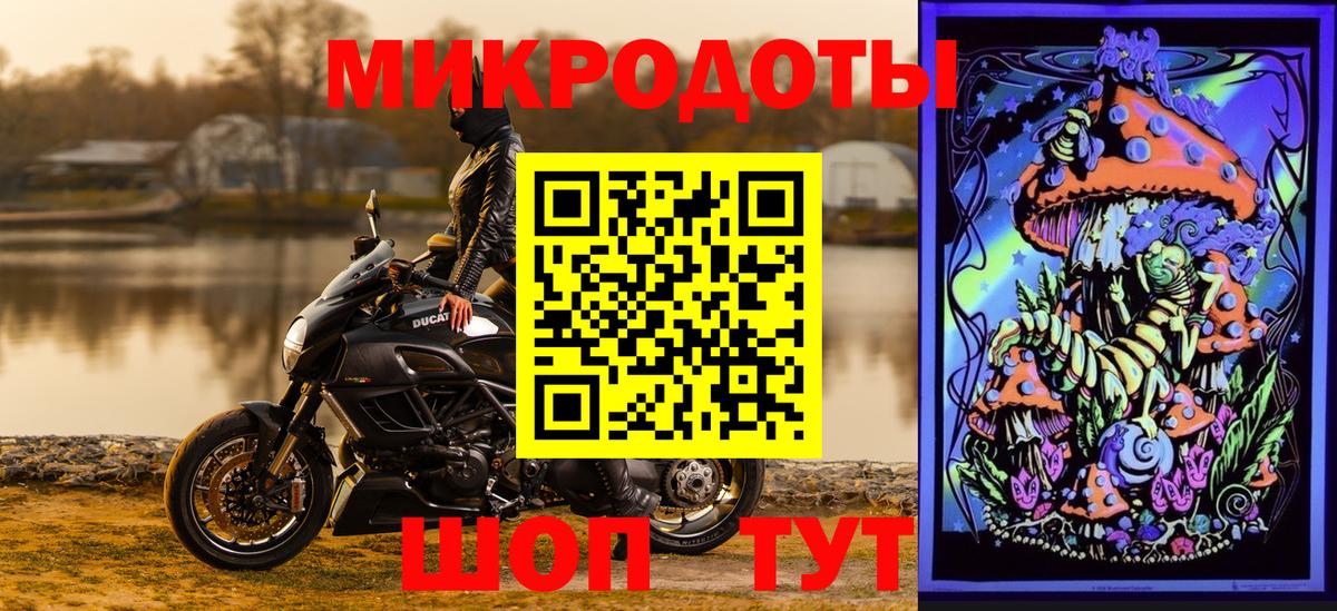 Гусиноозёрск  Псилоцибиновые грибы мицелий  Вход с VPN 
