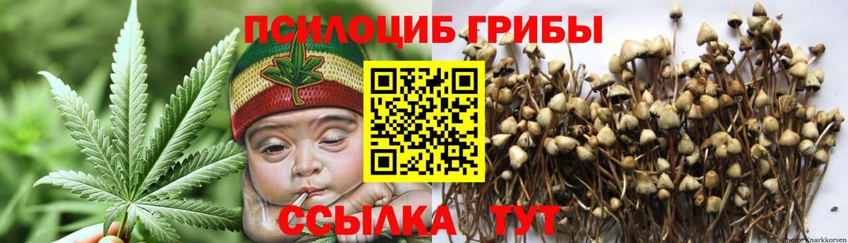 Псилоцибиновые грибы мухоморы Гусиноозёрск
